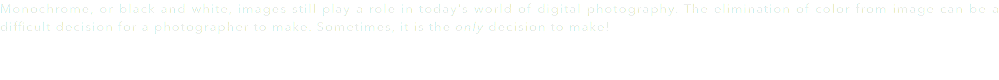 Monochrome, or black and white, images still play a role in today's world of digital photography. The elimination of color from image can be a difficult decision for a photographer to make. Sometimes, it is the only decision to make!
